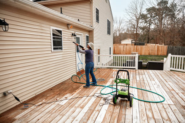 Best Roof Pressure Washing  in , IL