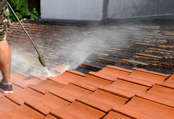 Best Commercial Building Pressure Washing  in , IL